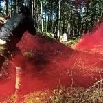 Airsoft riga