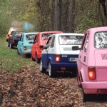 Pancari a cavallo nella campagna