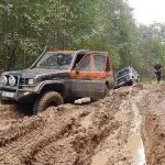 Safari