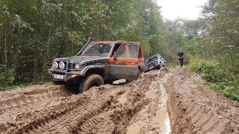 Safari