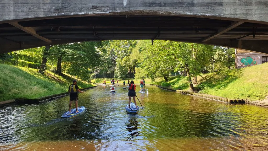 Stand up paddle