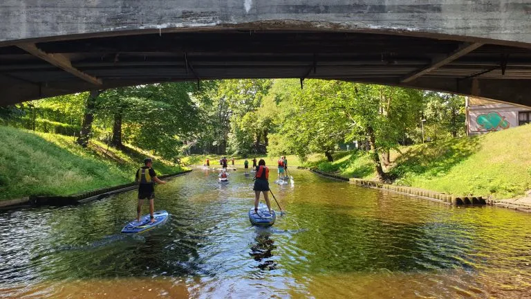 Stand up paddle