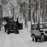 Winter safari