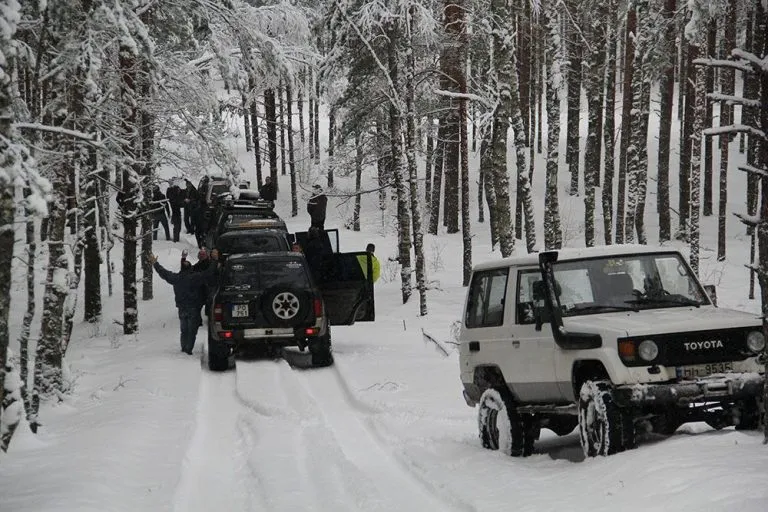 Safari invernale